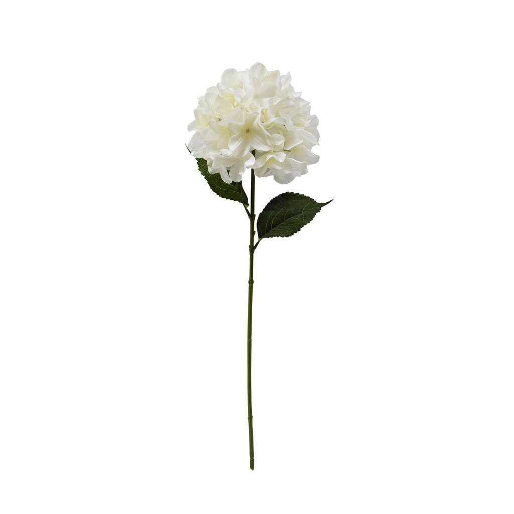 10648924_1.jpg img